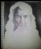 gandalf_by_legolastheelf06-d5ahtdk.jpg