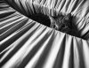 cat-black-and-white-photography-39.jpg
