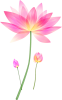 flower.png