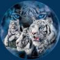 BlueTiger