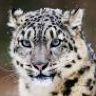 snowleopard