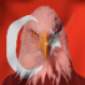 CemKaya