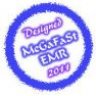MeGaFaSt EMR