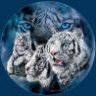 BlueTiger
