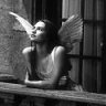 harmonia