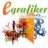 egrafikercom