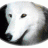 whitewolf