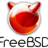 Freebsd