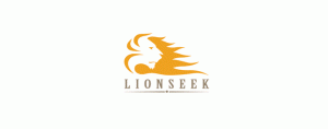 13-lion-logo-design