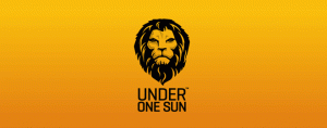 17-lion-logo-design