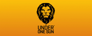 28-lion-logo-design