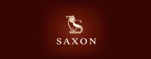 29-lion-logo-design