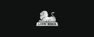 30-lion-logo-design