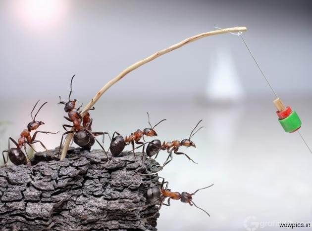 Fantasy-world-of-ants2