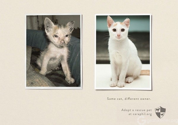 Powerful-Animal-Ad-Campaigns-14-600x422